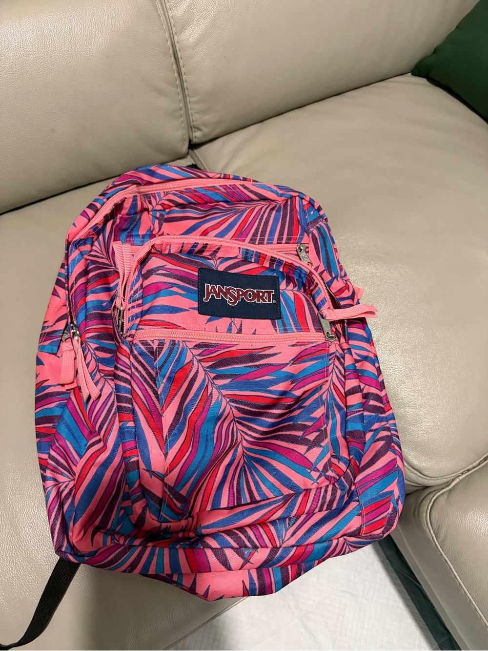 Jansport Pink and Blue Palm-Leaf Print Backpack
